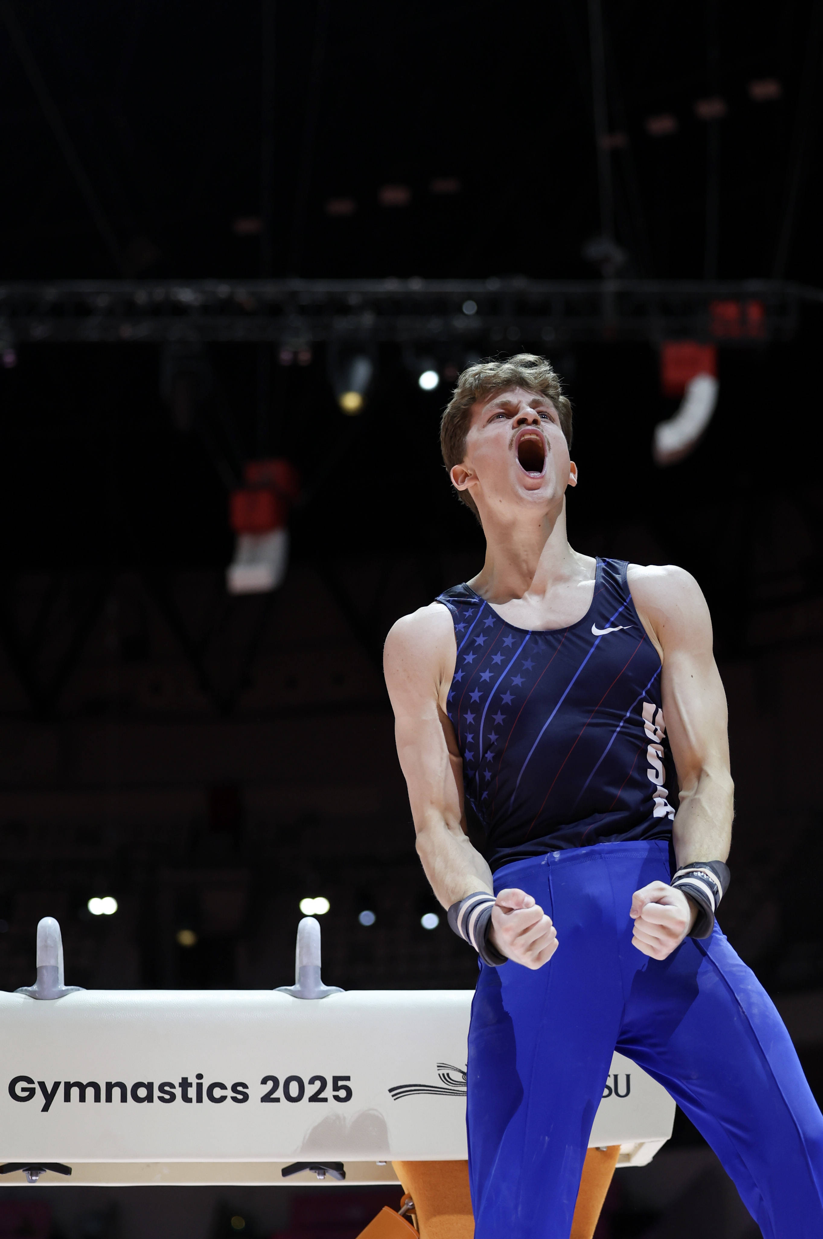 （体育）体操——世锦赛：男子鞍马决赛赛况